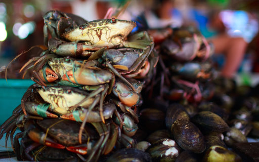 Aqua Best seafood
